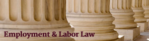 Brian P. Battaglia - Employment and Labor Law